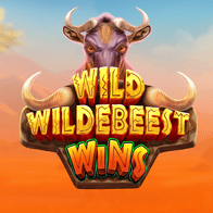 Wild Wildebeest Wins game icon
